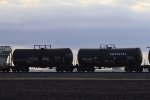 GBRX 707851 STSX 61152